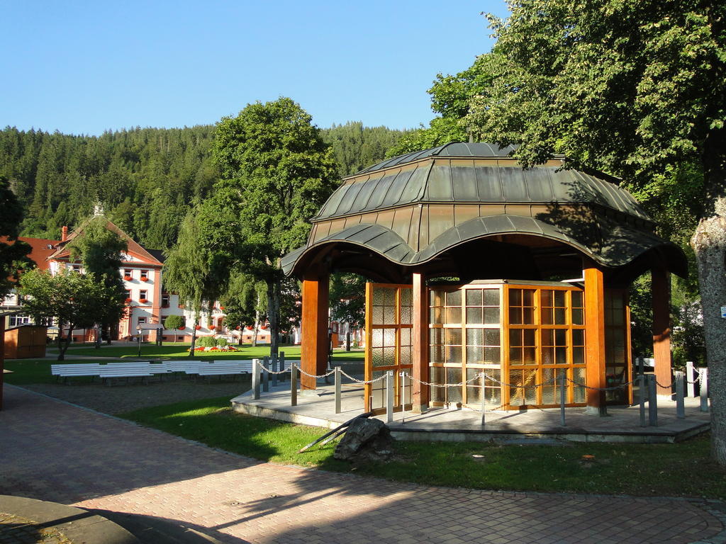 Alb Studio St. Blasien Zewnętrze zdjęcie