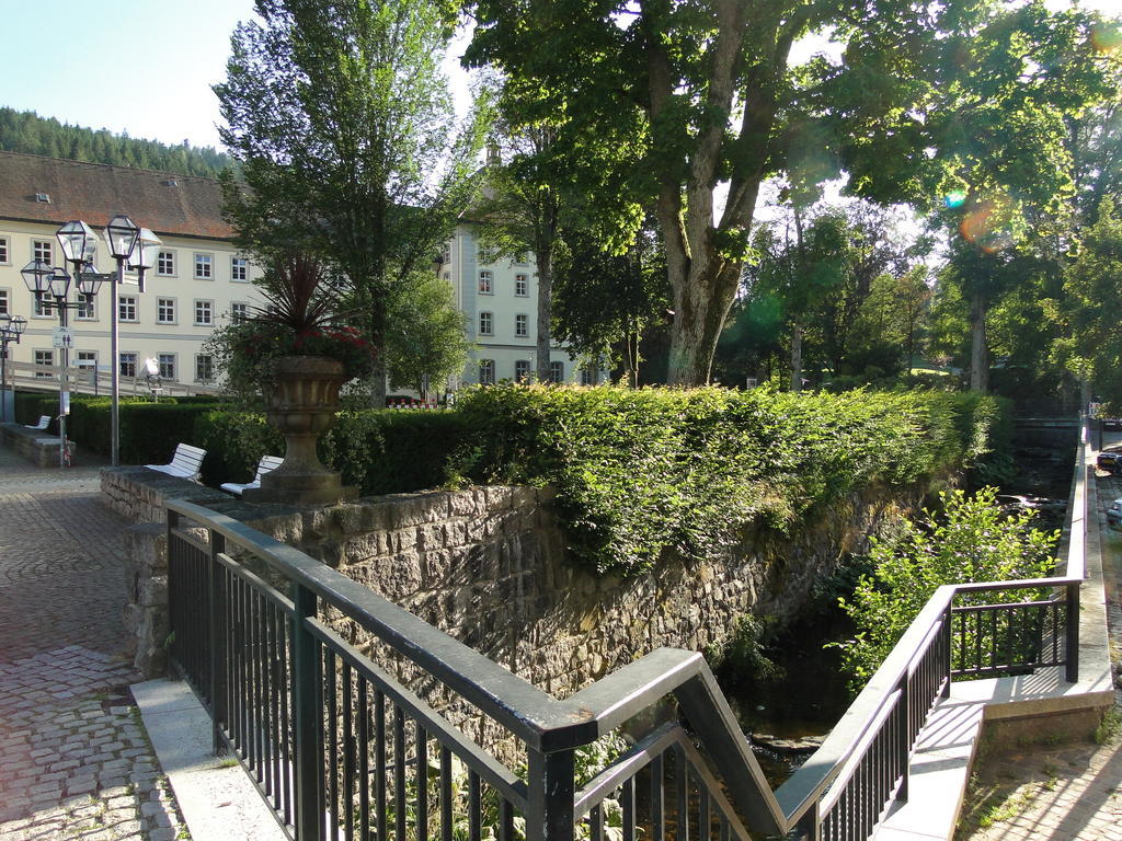 Alb Studio St. Blasien Zewnętrze zdjęcie
