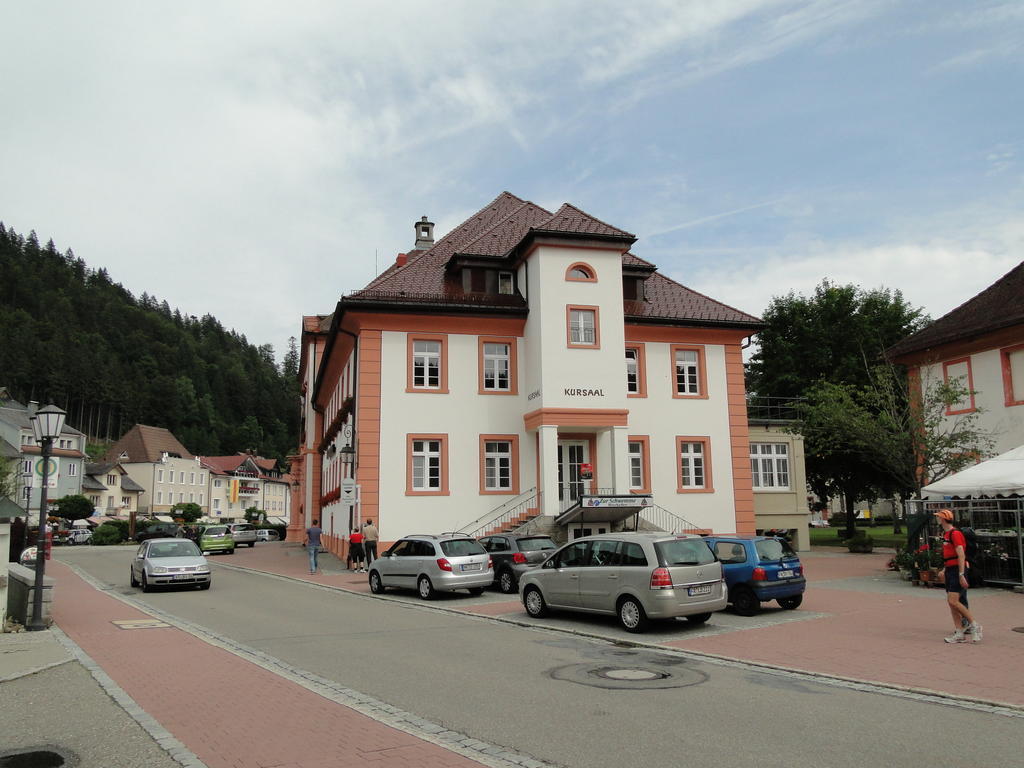 Alb Studio St. Blasien Zewnętrze zdjęcie