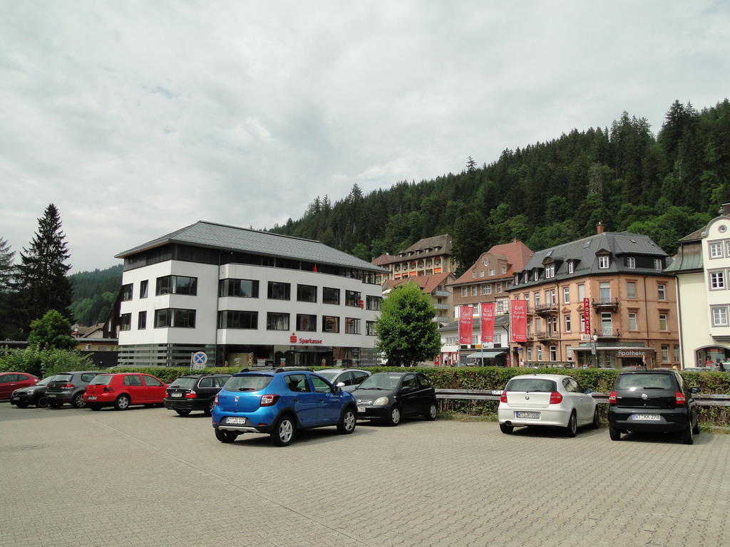 Alb Studio St. Blasien Zewnętrze zdjęcie