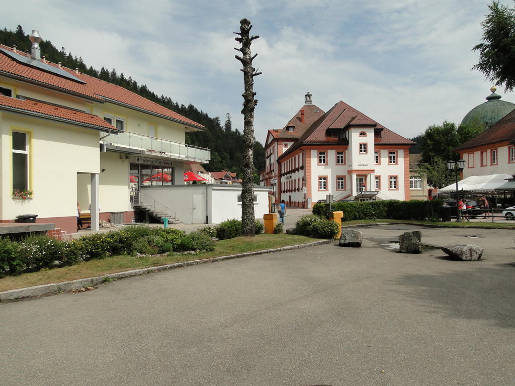 Alb Studio St. Blasien Zewnętrze zdjęcie